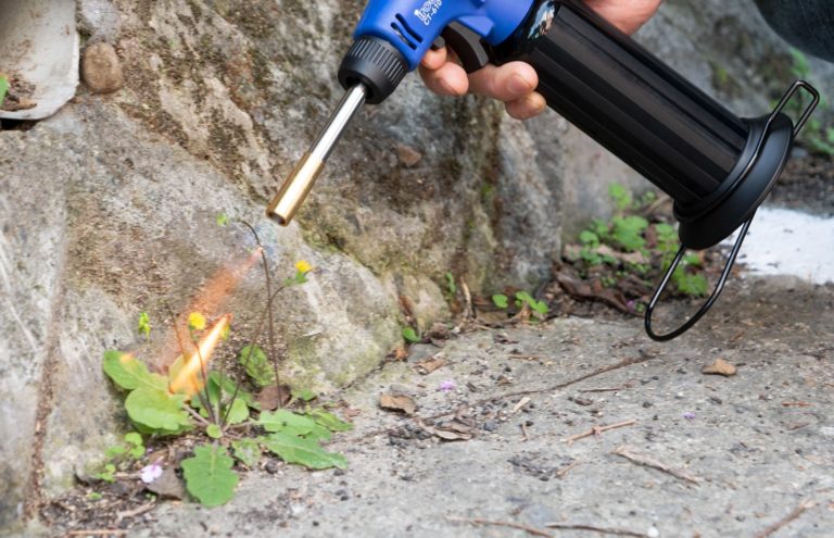 CT-610KB Gallery Image 4